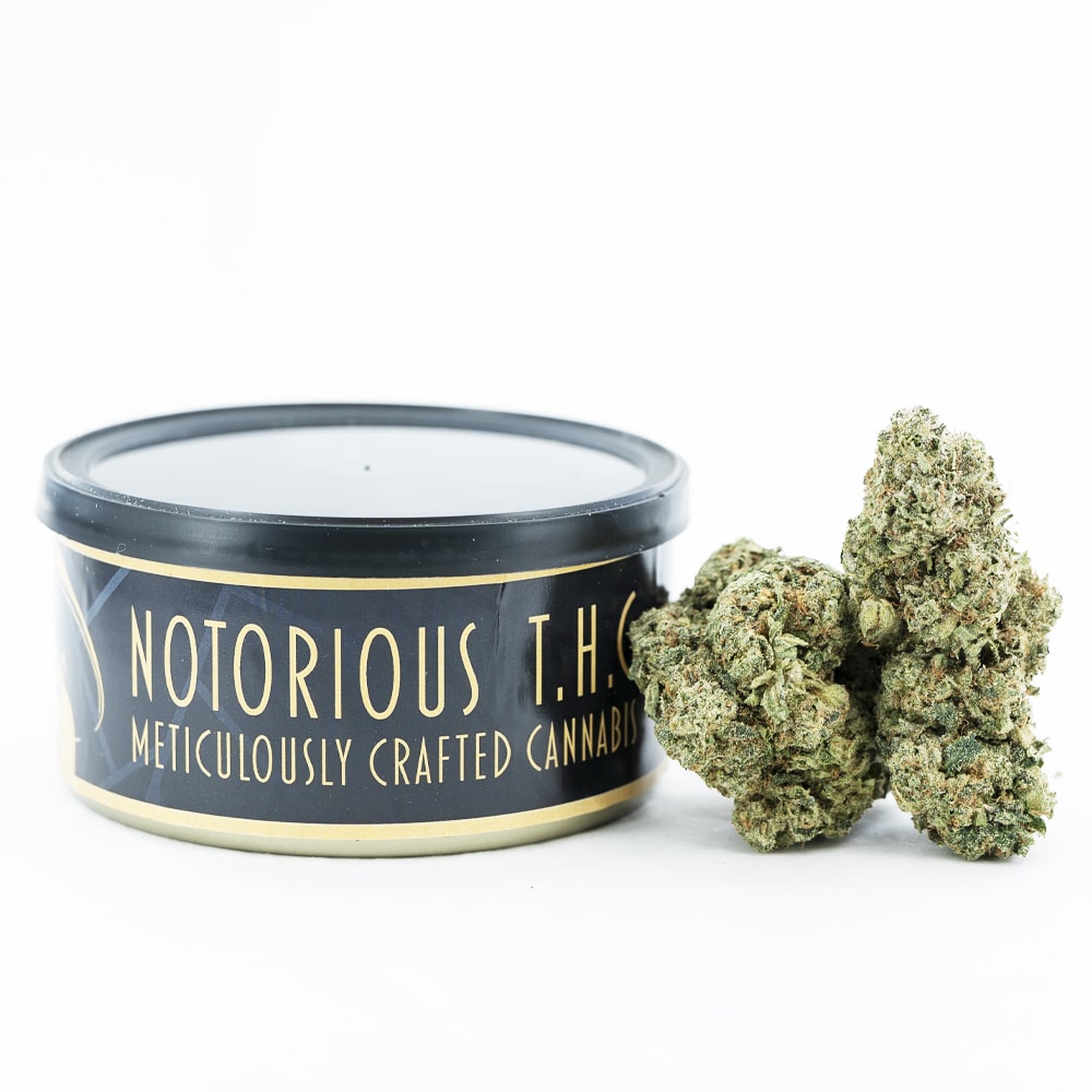 buy-weed-online-dispensary-craft-r1-bubba-kush-tuna-can Notorious THC Craft - R1 Bubba Kush (7 Grams) - Image 1