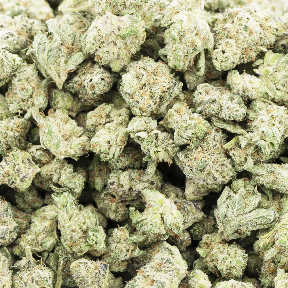 buy-weed-online-dispensary-marijuanna-cannabis-tahoe-cheese-popcorn-craft-crop Tahoe Cheese Craft Popcorn - Indica - Image 1