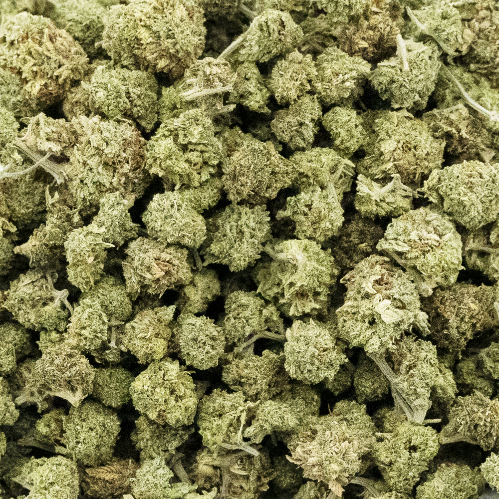 buy-weed-online-dispensary-west-coast-releaf-marijuanna-cannabis-pink-taco-popcorn-aa-crop Pink Taco AA Popcorn - Indica - Image 1
