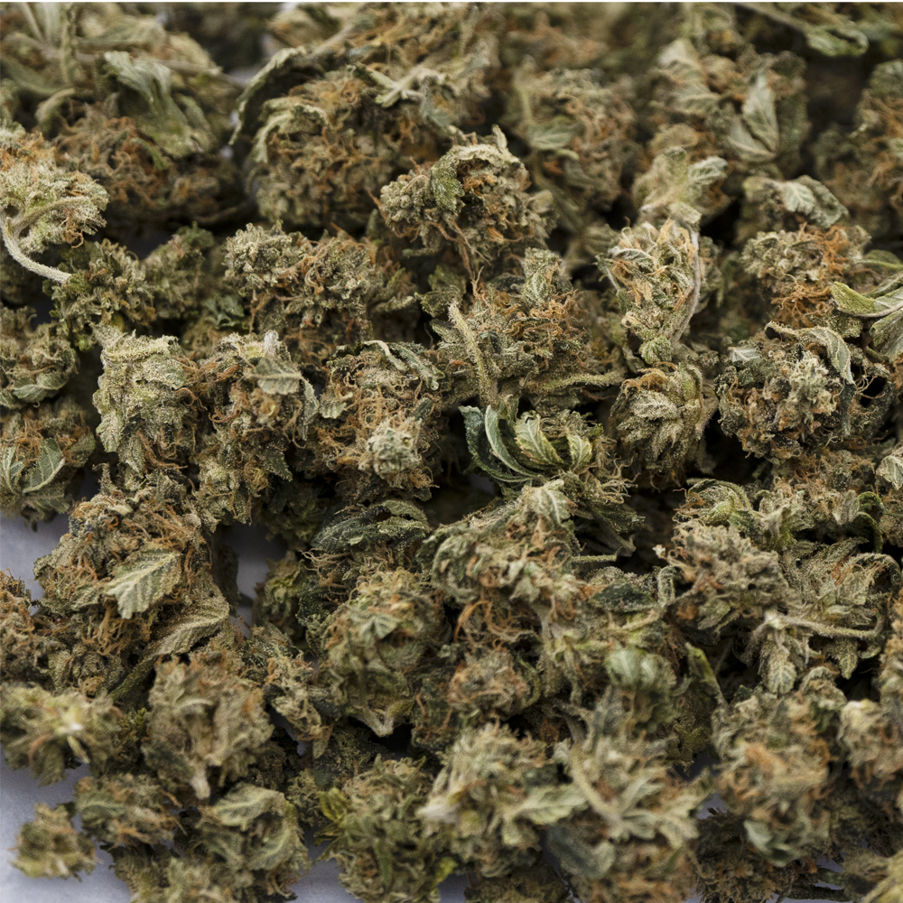 buy-weed-online-dispensary-west-coast-releaf-mku-popcorn-aa-wholesale MKU AA Popcorn - Hybrid - Image 1