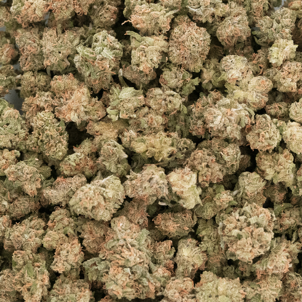 buy-weed-online-dispensary-west-coast-releaf-platinum-godberry-popcorn-craft-wholesale Platinum Godberry Craft Popcorn - Hybrid - Image 1