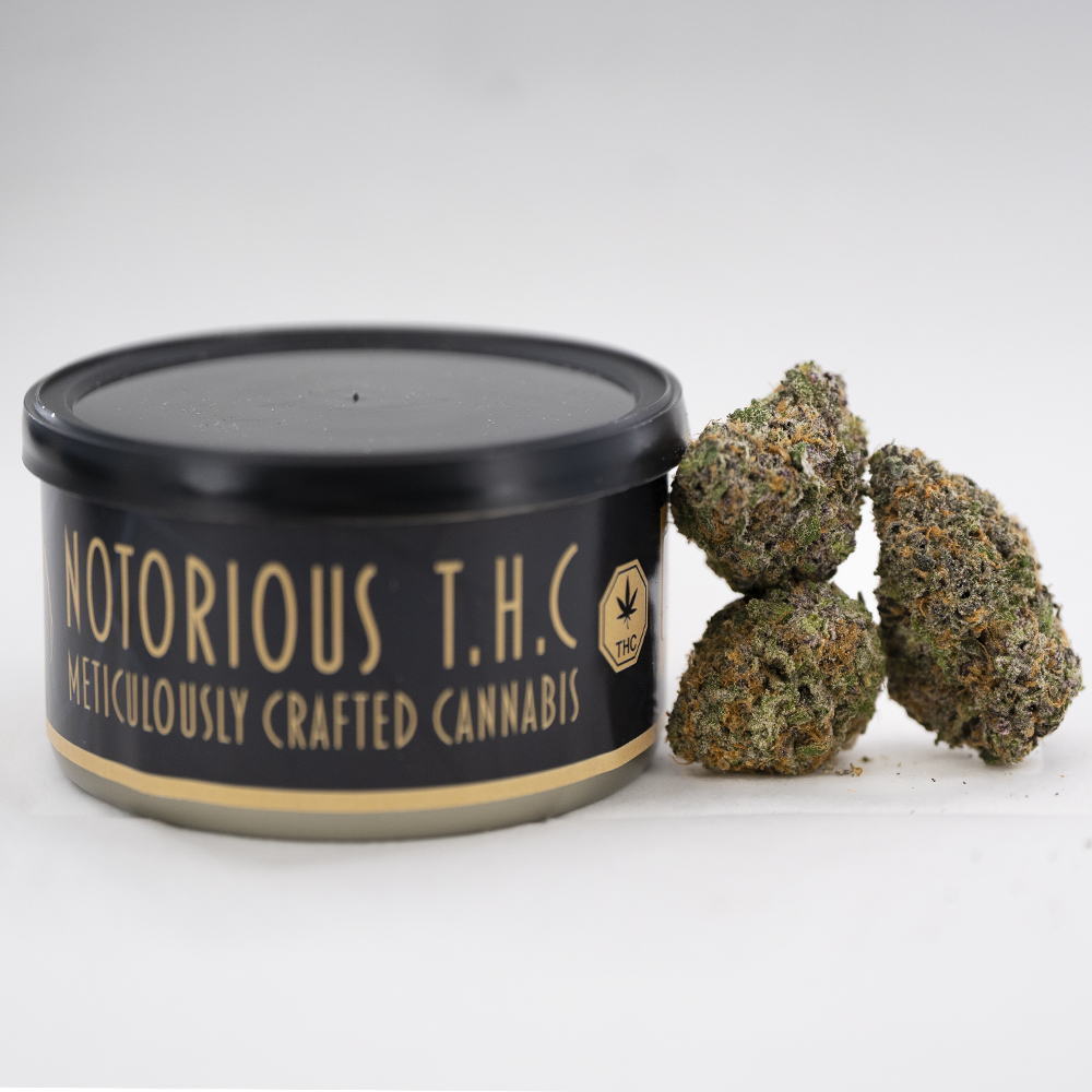 buy-weed-online-dispensary-west-coast-releaf-tuna-can-craft-durban-cheese Notorious THC Craft - Durban Cheese (7 Grams) - Image 1