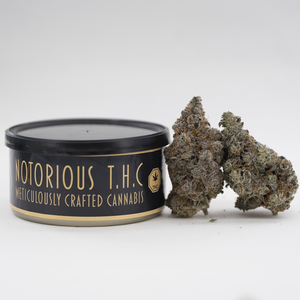 buy-weed-online-dispensary-west-coast-releaf-tuna-can-craft-grape-candy Notorious THC Craft - Grape Candy (7 Grams) - Image 1