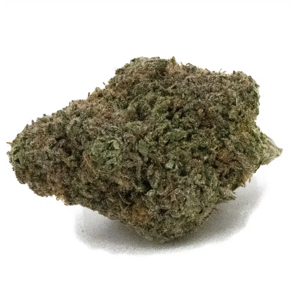 buy-weed-online-dispensary-sativa-jack-herer-aa-nug.jpg Jack Herer AA - Sativa - Image 1