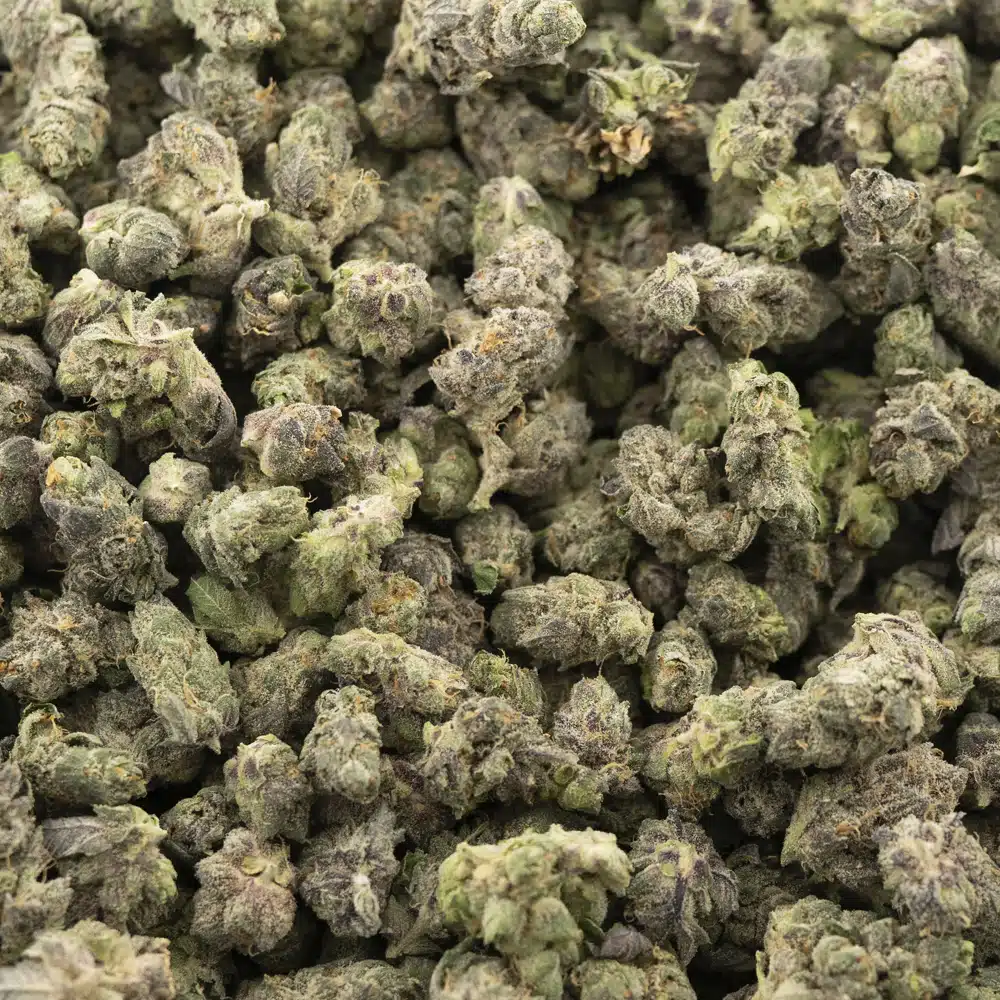buy-weed-online-dispensary-kings-kush-popcorn-aaaa-wholesale.jpg King's Kush AAAA Popcorn - Indica - Image 1