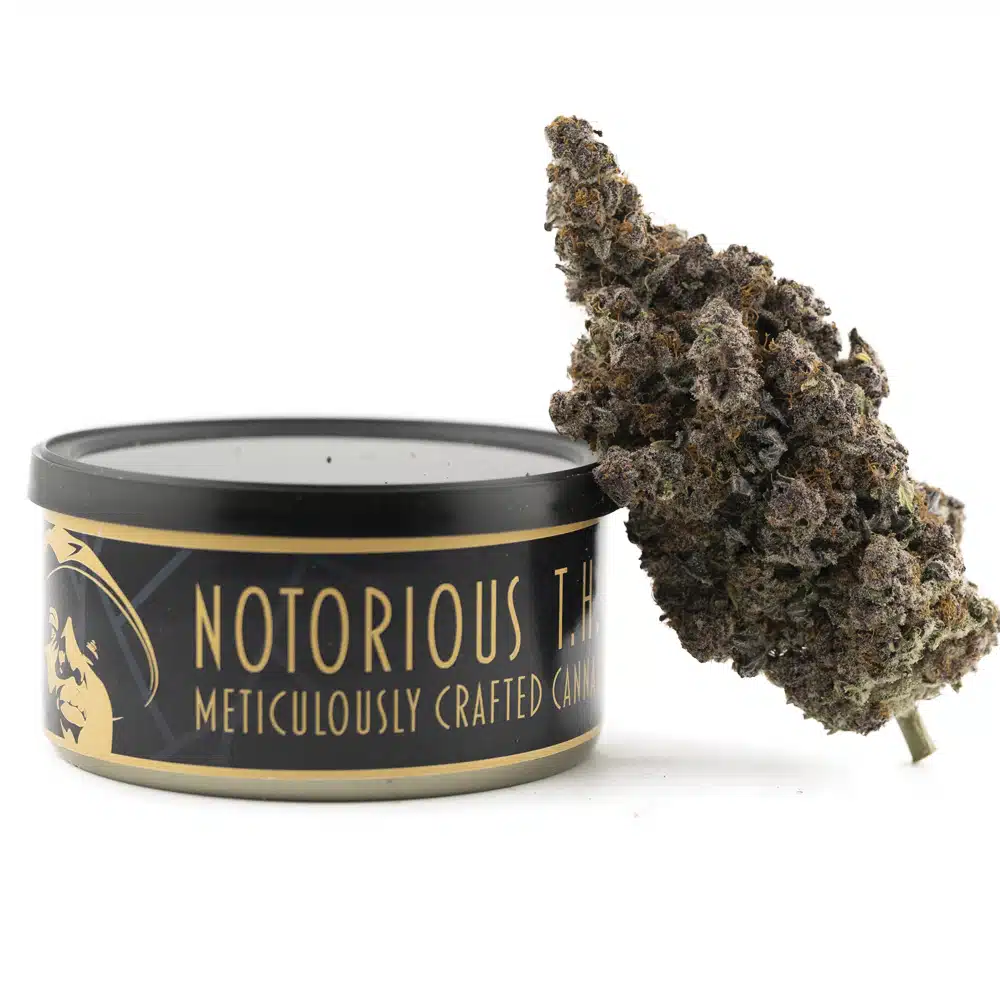 buy-weed-online-dispensary-craft-tuna-can-grape-stomper-x-sour-candy.jpg Notorious THC Craft - Grape Stomper x Sour Candy (7 Grams) - Image 1