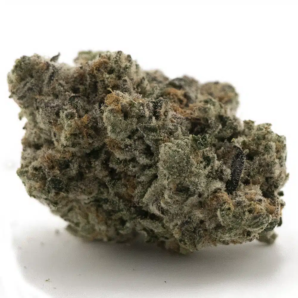 buy-weed-online-dispensary-indica-grand-blueberry-pie-craft-nug.jpg Grand Blueberry Pie Craft - Indica - Image 1