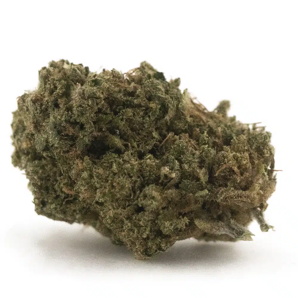 buy-weed-online-dispensary-cookie-glue-a-hybrid-nug.jpg Cookie Glue A - Hybrid - Image 1