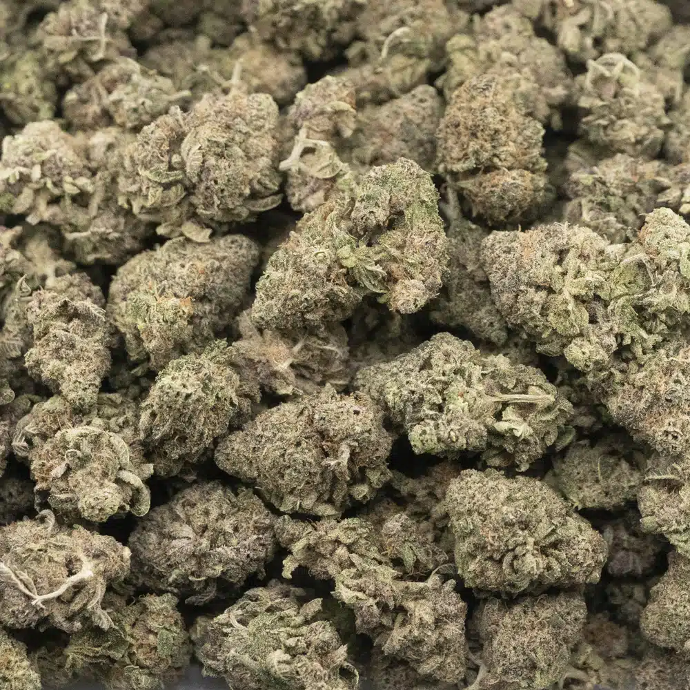 buy-weed-online-dispensary-rainbow-chip-popcorn-hybrid-aaaa-wholesale.jpg Rainbow Chip AAAA Popcorn - Hybrid - Image 1