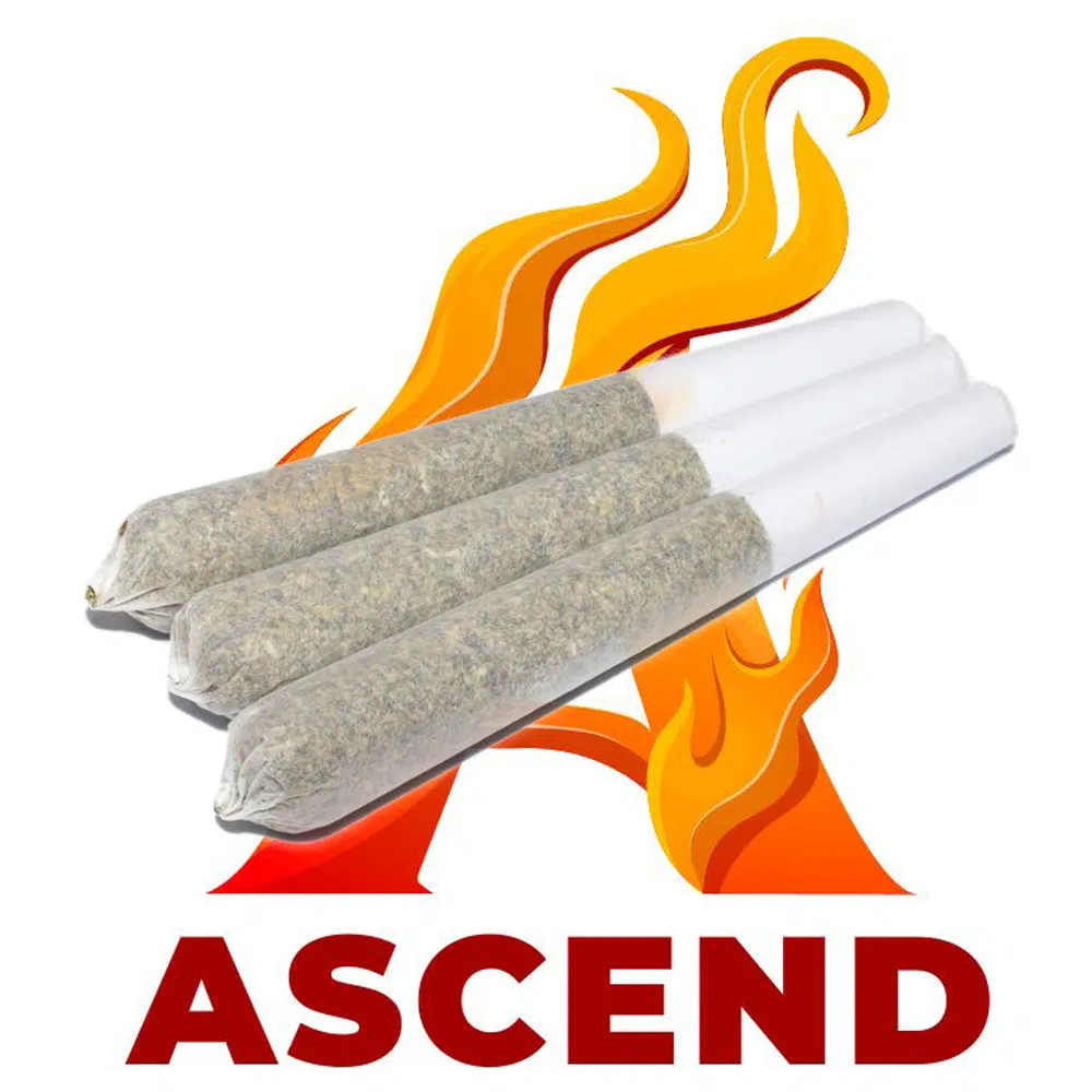 buy-weed-online-dispensary-ascend-pre-rolls-1.jpg Ascend - Orange Cookies - Pre-Rolled Joints (1G) - Image 1