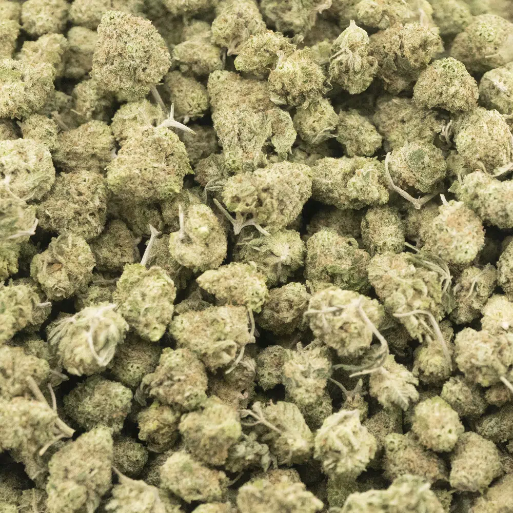 buy-weed-online-dispensary-raspberry-sherbet-popcorn-craft-indica-wholesale.jpg Raspberry Sherbet Craft Popcorn - Indica - Image 1