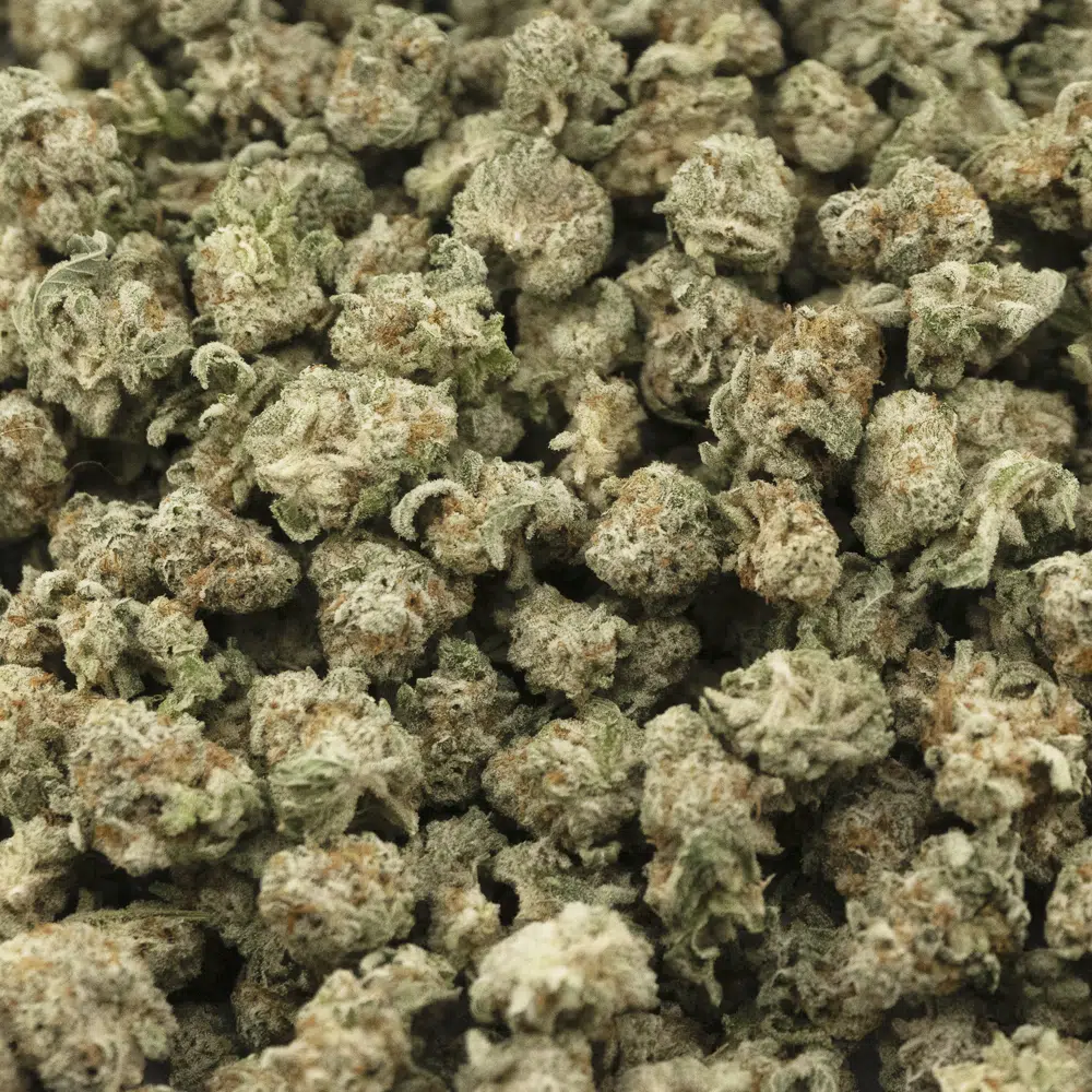buy-weed-online-dispensary-super-kush-craft-popcorn-hybrid-wholesale.jpg Super Kush Craft Popcorn - Hybrid - Image 1