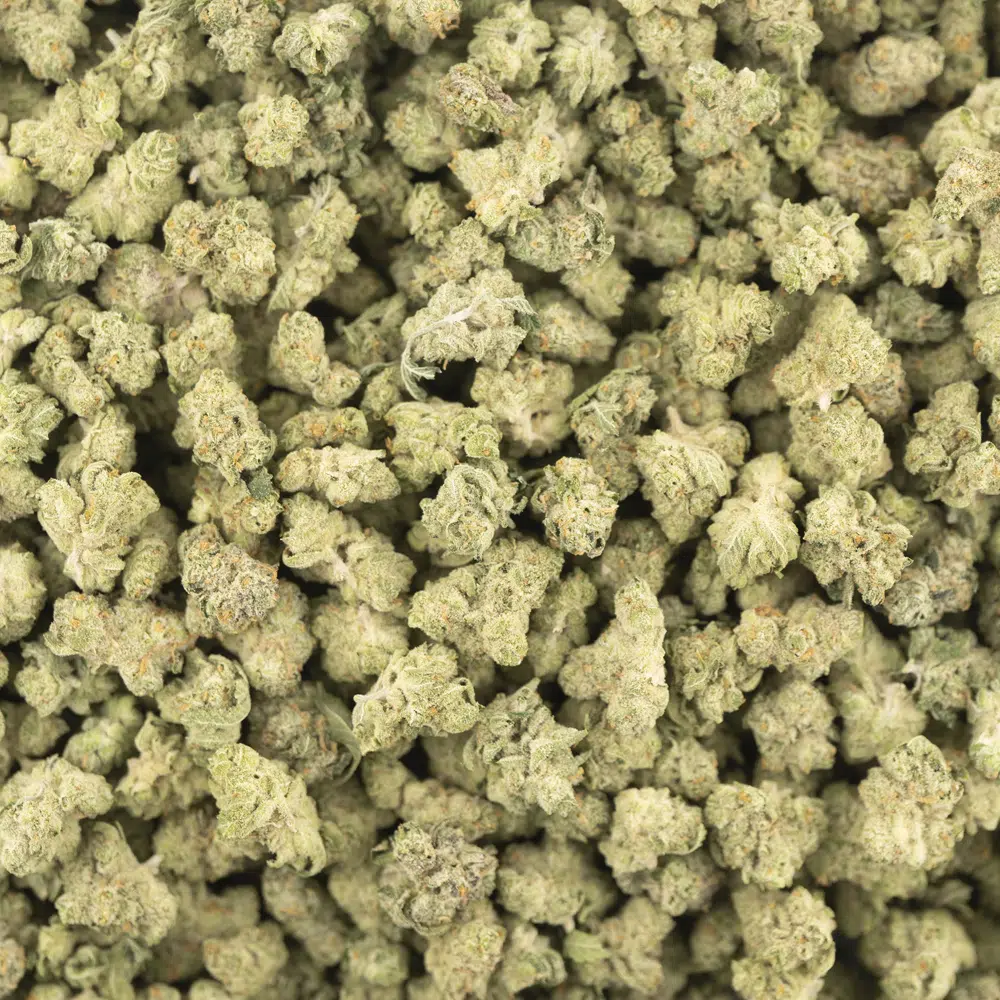 buy-weed-online-dispensary-bubba-haze-popcorn-aaaa-hybrid-wholesale.jpg Bubba Haze AAAA Popcorn - Hybrid - Image 1