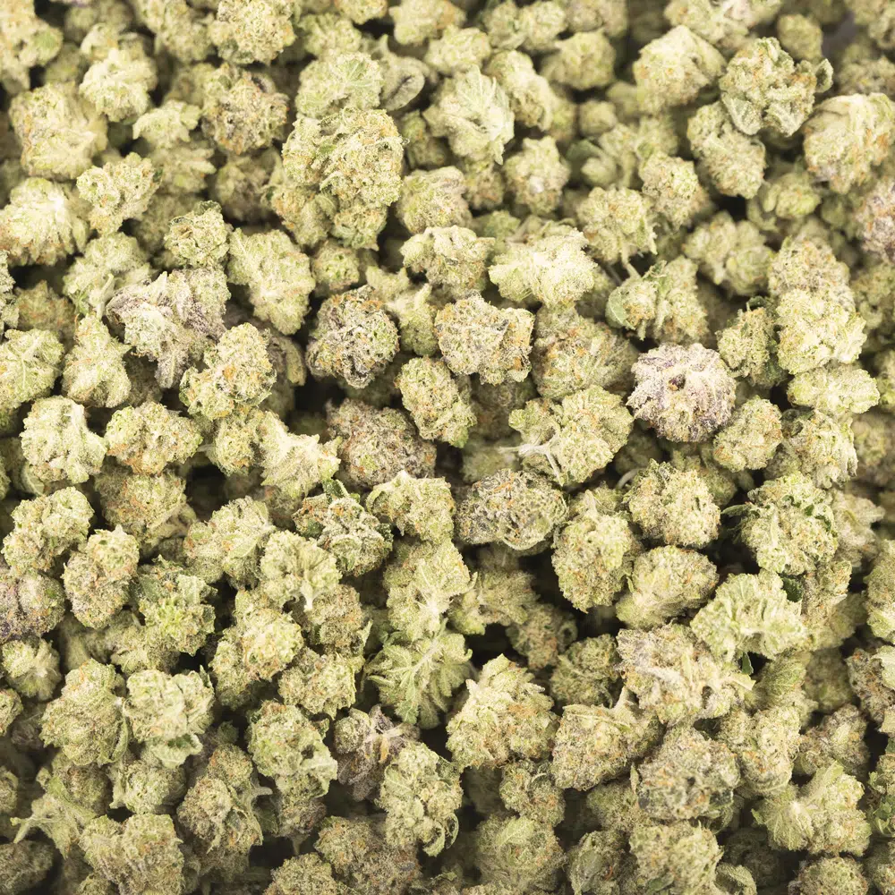 buy-weed-online-dispensary-fruit-loop-haze-popcorn-aaaa-indica-wholesale.jpg Fruit Loop Haze AAAA Popcorn - Indica - Image 1