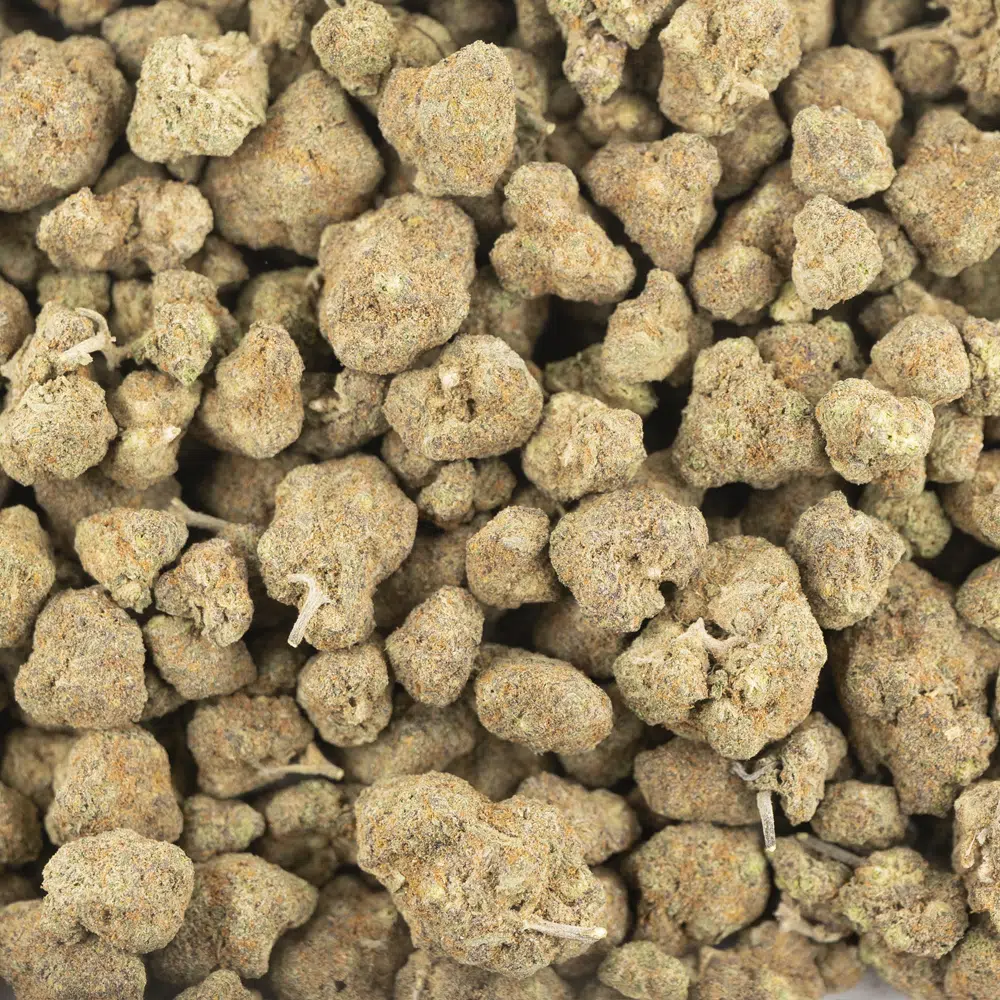 buy-weed-online-dispensary-phoenix-sun-popcorn-aaa-hybrid-wholesale.jpg Phoenix Sun AAA Popcorn - Hybrid - Image 1