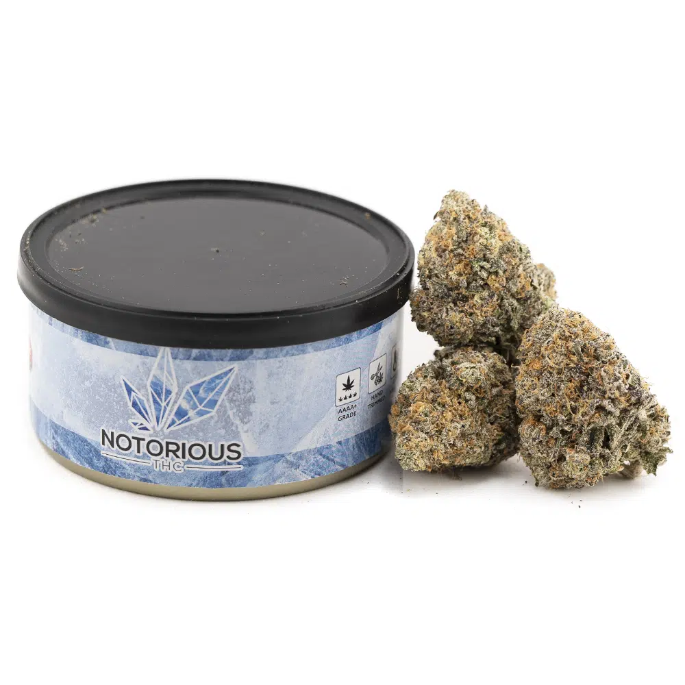buy-weed-online-dispensary-notorious-thc-tuna-can-jungle-diamonds-craft.jpg Notorious THC Craft - Jungle Diamonds (7 Grams) - Image 1
