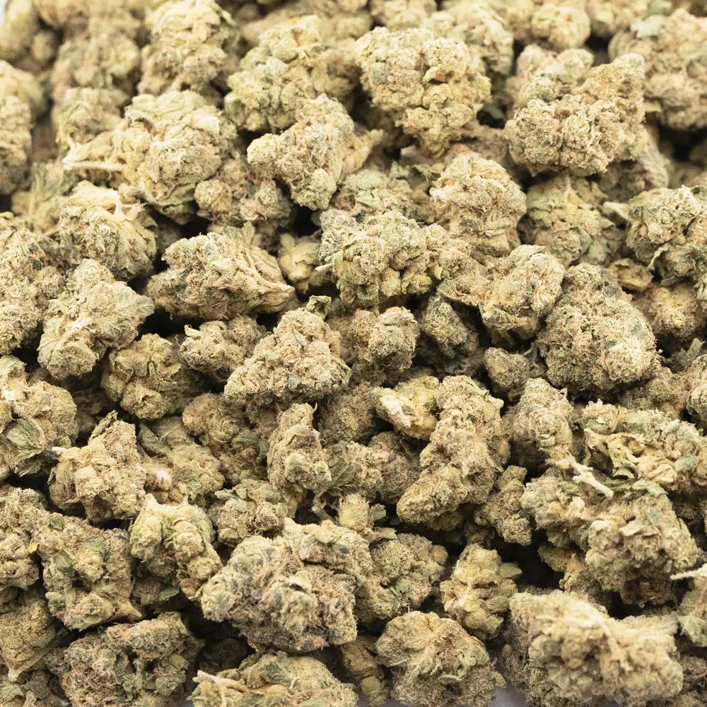 buy-weed-online-dispensary-berry-white-aa-popcorn-indica-wholesale Berry White AA Popcorn - Indica - Image 1