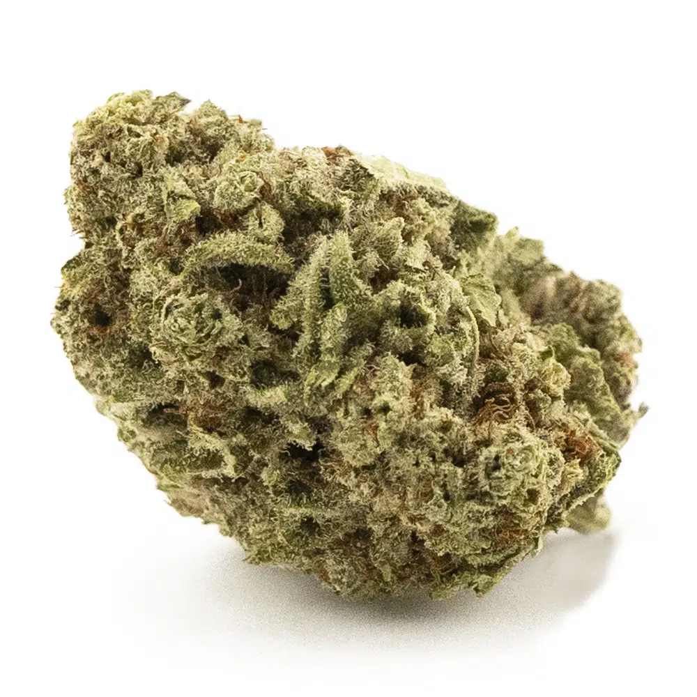 buy-weed-online-dispensary-cherry-mints-a-indica-nug Cherry Mints A - Indica - Image 1
