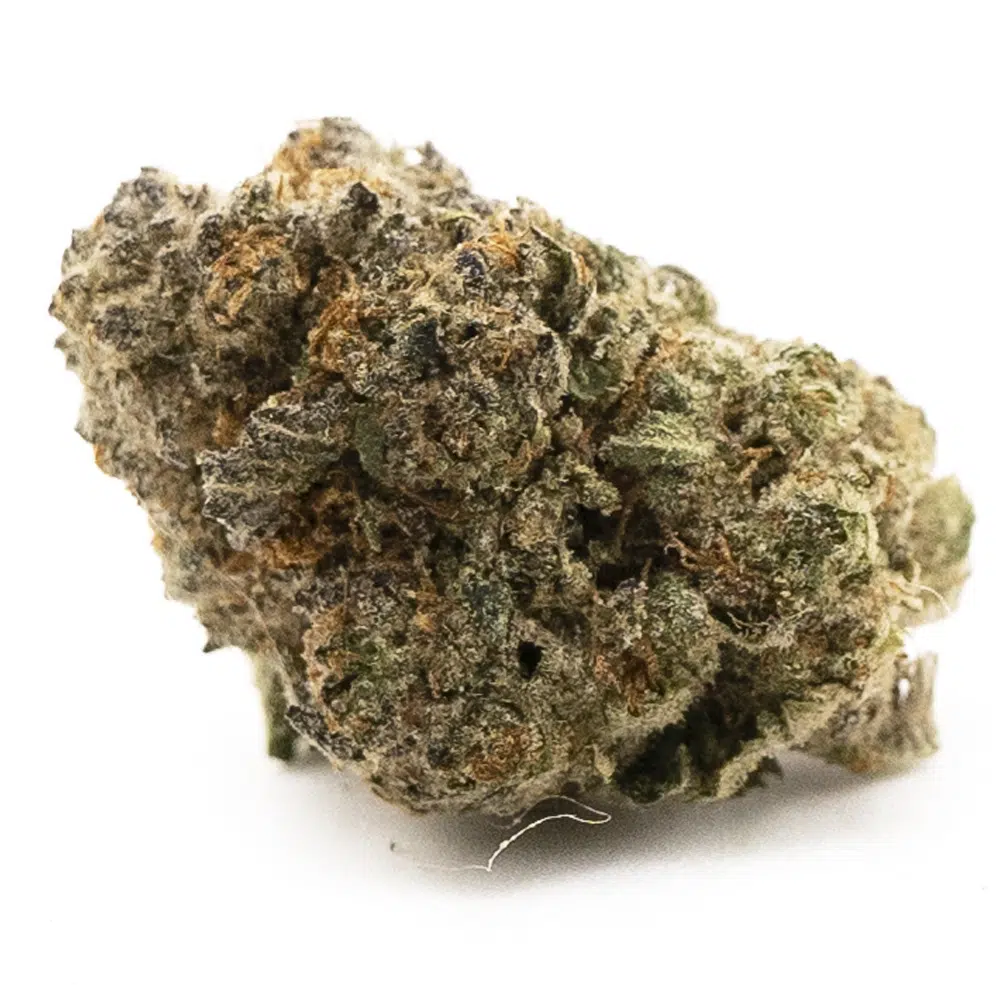 buy-weed-online-dispensary-banana-sundae-aaaa-sativa-nug.jpg Banana Sundae AAAA - Sativa - Image 1