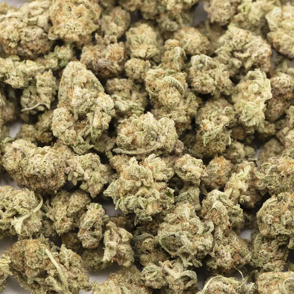 buy-weed-online-dispensary-optimus-prime-aaaa-indica-popcorn-wholesale.jpg Optimus Prime AAAA Popcorn - Indica - Image 1