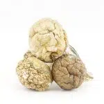 Shrooms - Amazonian