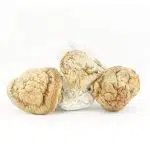 Shrooms - Trinity