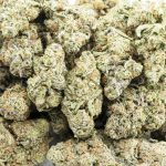 Sweet Mendo Kush AAAA - Hybrid - Image 3