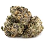 Velvet Hammer AA - Indica