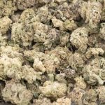 Velvet Hammer AA - Indica - Image 2