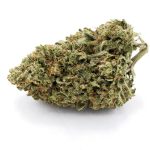 Banana Cabana AA - Hybrid