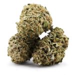 Banana Cabana AA - Hybrid - Image 2