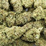 Banana Cabana AA - Hybrid - Image 3