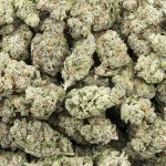 El Diablo OG AAAA - Hybrid - Image 3
