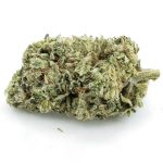 Jelly Runtz Strain - 20% OFF First Order + Xmas Deals