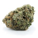 Mike Tyson AAAA - Indica