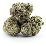 Mike Tyson AAAA - Indica - Image 2