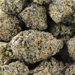 burmese kush aaa wholesale