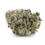 Orange Sunset AAA - Hybrid