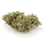 Rock Tuna AA - Hybrid