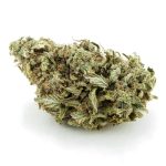 King Louie XIII AA - Indica