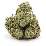 King Louie XIII AA - Indica - Image 2