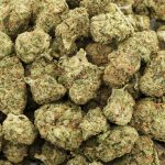 Supergirl A - Indica - Image 3