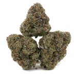 DJ Short Blueberry AAAA - Indica - Image 2