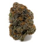Midnight Runtz AAAA - Indica