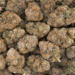 Midnight Runtz AAAA - Indica - Image 3