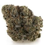 Berry Blast AAAA - Indica