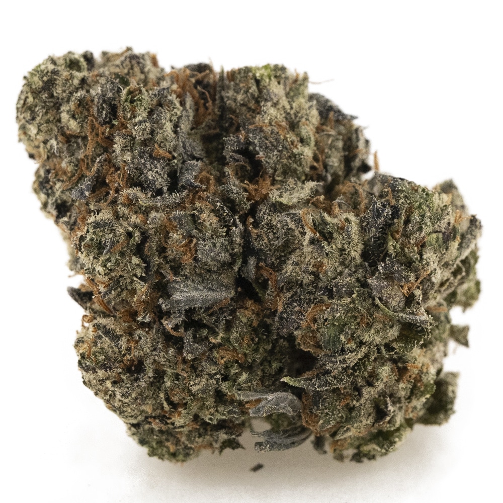 buy-weed-online-dispensary-berry-blast-aaaa-nug.jpg Berry Blast AAAA - Indica - Image 1