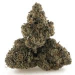 Berry Blast AAAA - Indica - Image 2