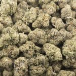 Berry Blast AAAA - Indica - Image 3
