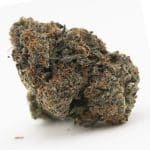 Grease Monkey AAA - Indica